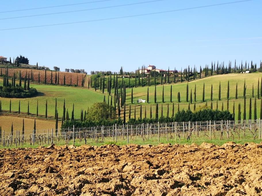 Castello Di Fulignano Ildebrando Superior Apartment San Gimignano Zewnętrze zdjęcie